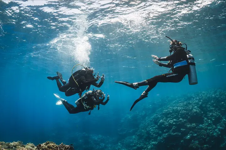 Waikiki Scuba Dive: Discover Scuba Diving Adventure