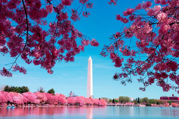 DC's Iconic Monuments: Bus Tour & Washington Monument Climb