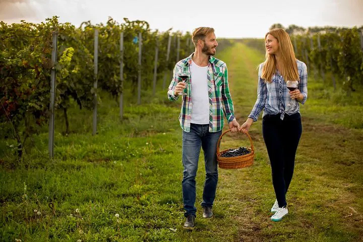 Niagara Wine Tour: Private Cheese & Charcuterie Indulgence