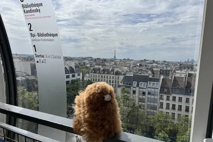 Unlock Paris Art Scene: Centre Pompidou Private Tour!