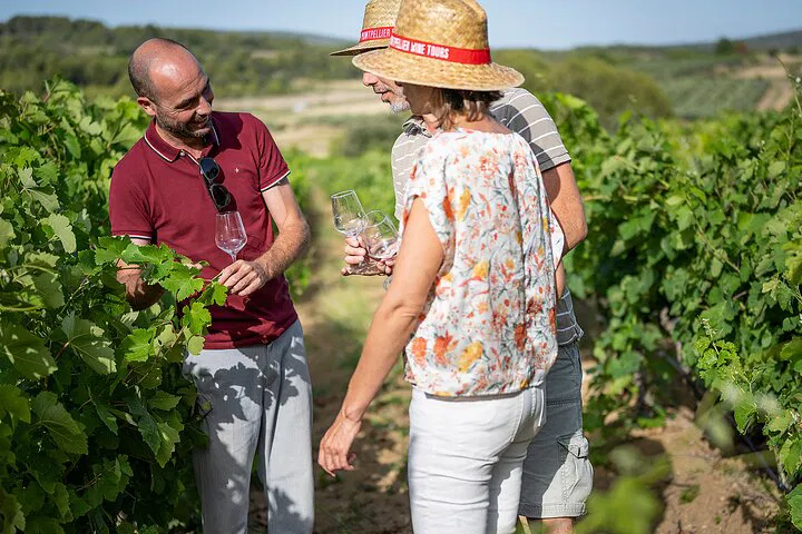 Sète Wine Escape: Uncork Languedoc's Hidden Gems