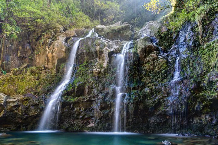 Unveiling Maui's Secrets: A Private Jungle Waterfall Adventure