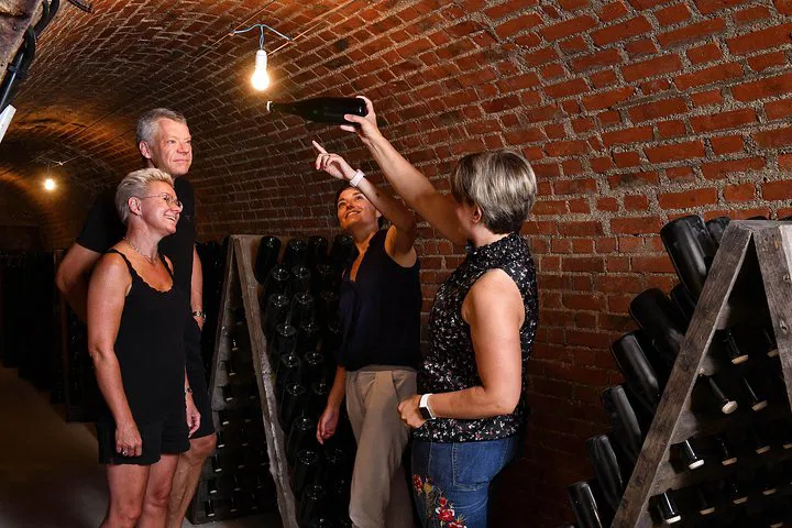 Unveiling Champagne's Secrets: A Luxurious Private Tour from Epernay