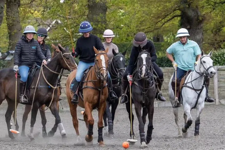 Gallop into Glamour: Your Polo Adventure Awaits!