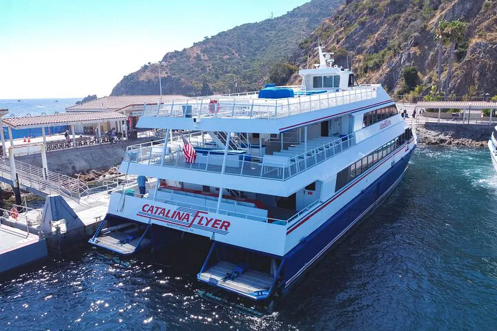 Catalina Island Ferry: Avalon Adventure from Newport Beach