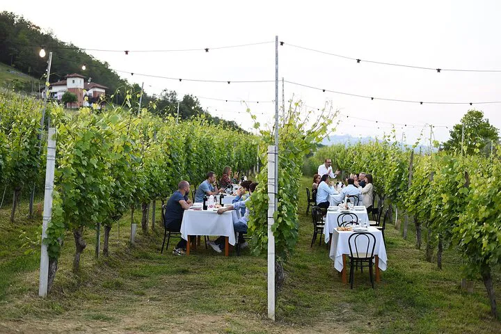 Uncork Piedmont: Vineyard Walk, Wine & Gourmet Lunch in Alba