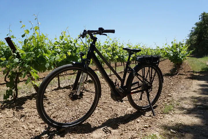 Provence Wine & Cycling Adventure: Discover Mont Ventoux