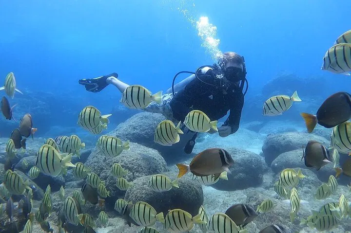 Honolulu Scuba: Beginner Dive with FREE Video!