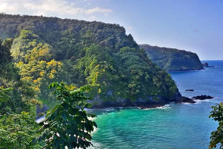 Maui's Road to Hana Halfway: Rainforest Adventure!