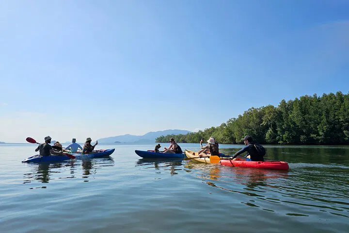 Discover Ko Lanta's Mangrove Wonders & Old Town Charms