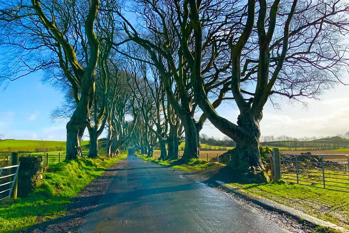 Uncover Northern Ireland's Gems: A Luxurious Private Day Trip
