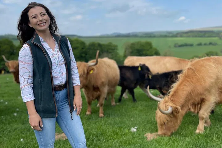 Meet Highland Cows: Farm Fun at Jedburgh!