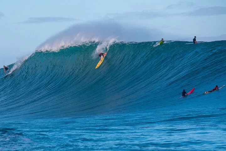 Ride the Waves with a Big Wave Surfer on Oahu's North Shore
