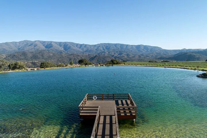 Unveiling Santa Barbara's Organic Wine Haven: A Private Vineyard Experience
