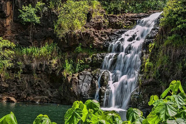 Oahu Circle Island Tour: Waimea Waterfall Adventure