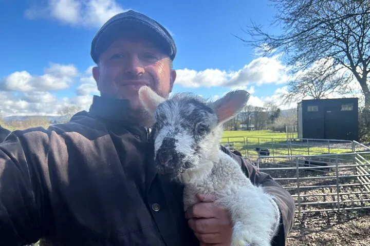 Dublin & Countryside Delight: Sheepdogs & City Tour Combo