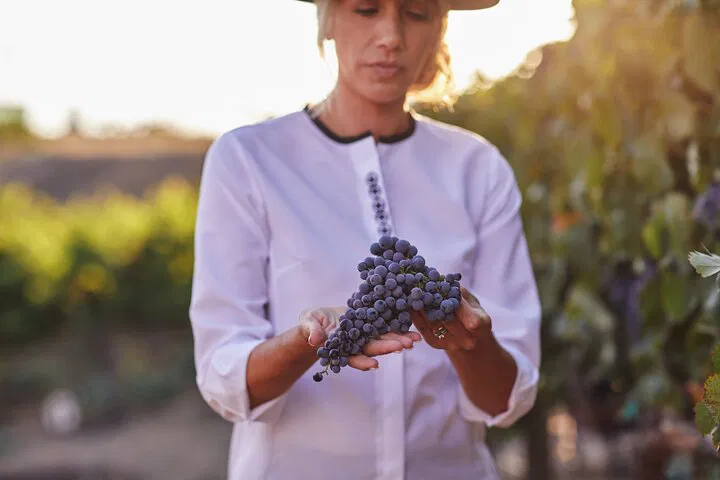 Temecula Wine Tour: 8 Tastings & Food Pairings