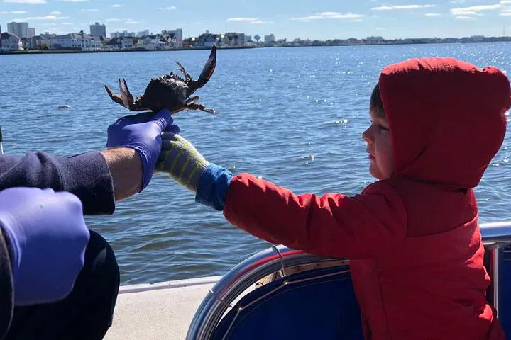 Explore Coastal Wonders: Maryland Bays Environmental Eco-Tour