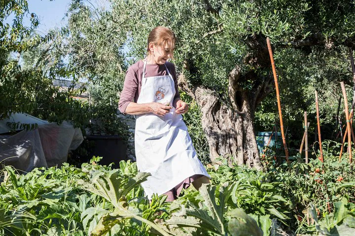 Saluzzo Culinary Secrets: A Private Piedmontese Cooking Adventure