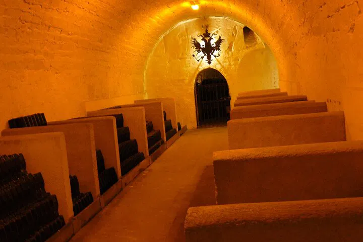 Unforgettable Champagne Lovers Private Tour: Taste & Explore Reims