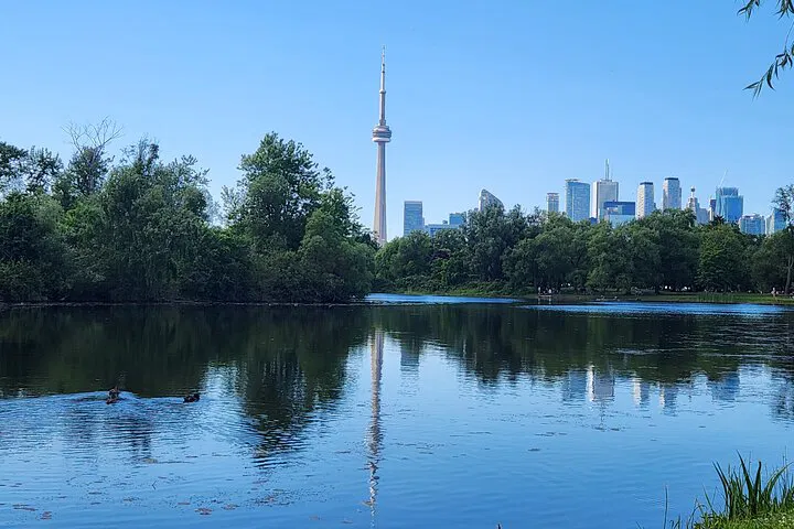 Toronto Islands Bike Tour: Harbourfront Views & Ferry Ride