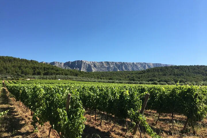 Aix-en-Provence & Côtes de Provence Wine Tour: Taste of Provence