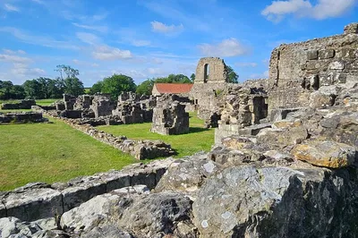 Image 3