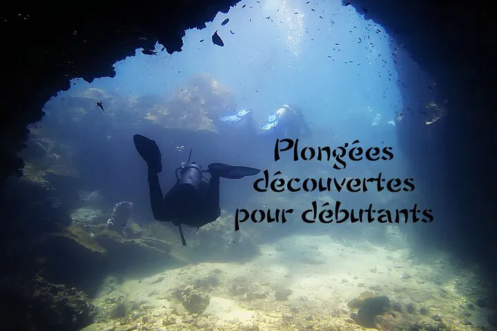 Discover Scuba Diving: Personalized Underwater Adventure in Ko Pha Ngan