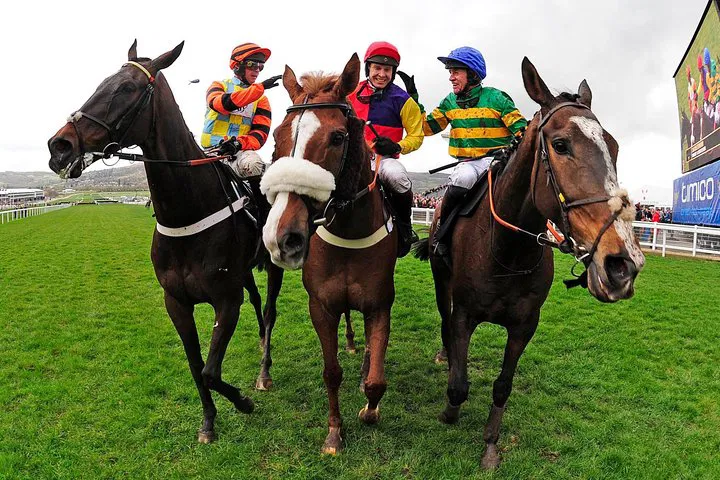 Dublin's Thrilling Turf: A Day at the Races & Horse Lover's Dream