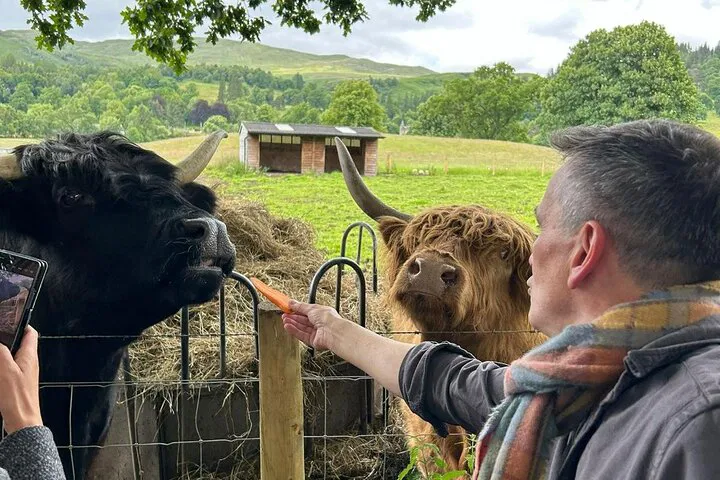 Uncover Scotland's Charm: A Personalized Highland Adventure