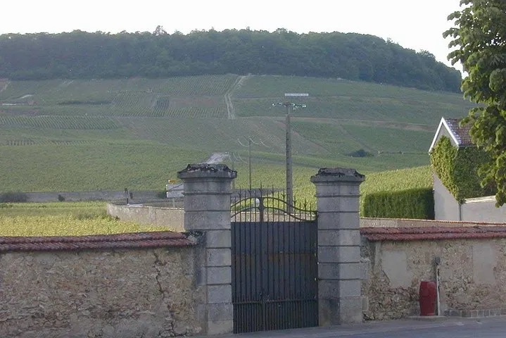 Indulge in Luxury: Champagne Lover's Grand Cru Chardonnay Tour with Private Driver
