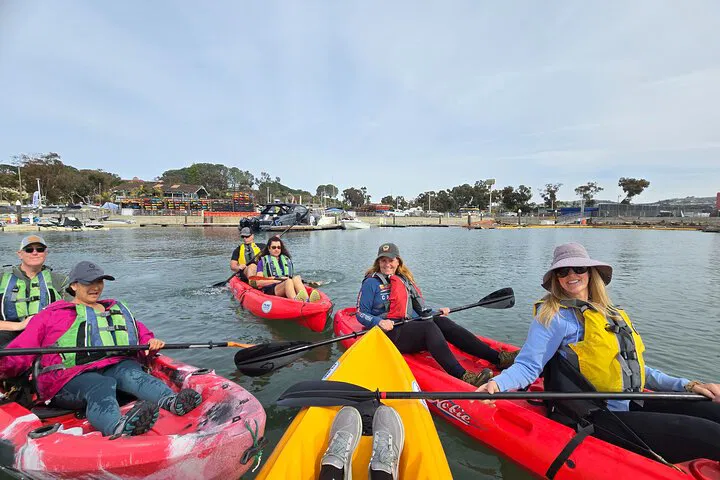Dana Point Kayak & Hike: Hidden Caves & Sea Life!