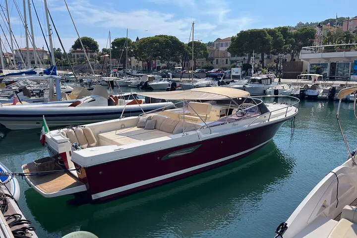 French Riviera Opulence: Exclusive Day Cruiser Tour from Nice/Monaco