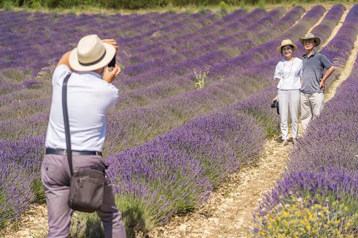 Marseille Shore Excursion: Lavender Fields Small Group Tour