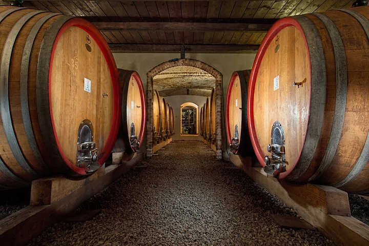 Unveiling Langhe: A Journey Through Piedmont's Finest Wines