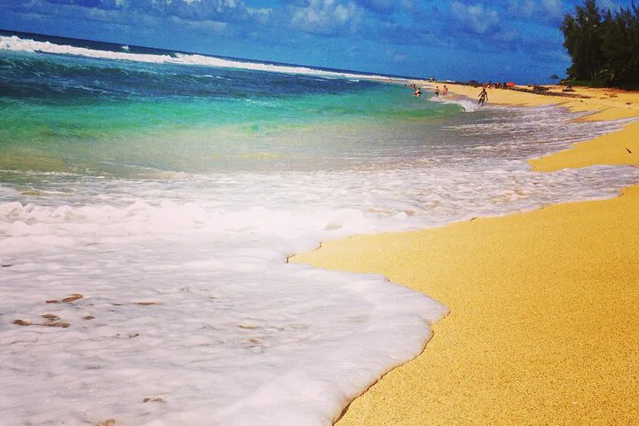 Oahu North Shore: 7-Hour Private Countryside Tour