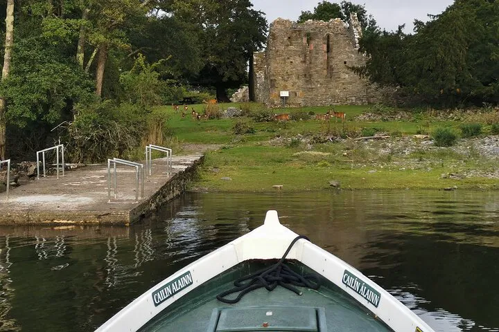 Killarney's Scenic Adventure: Boat & Bike Tour Through Lakes and Trails