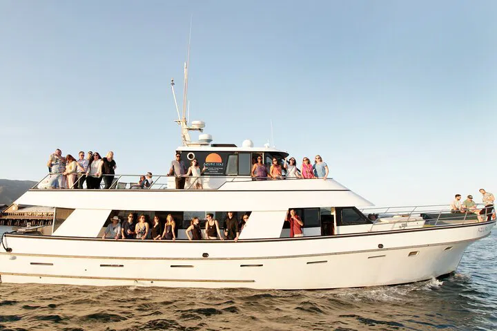 Santa Barbara Whale Watching: An Azure Seas Adventure