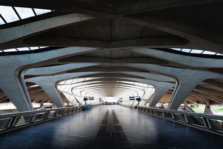 Stress-Free Private Transfer: Montpellier to Lyon with Local Insights