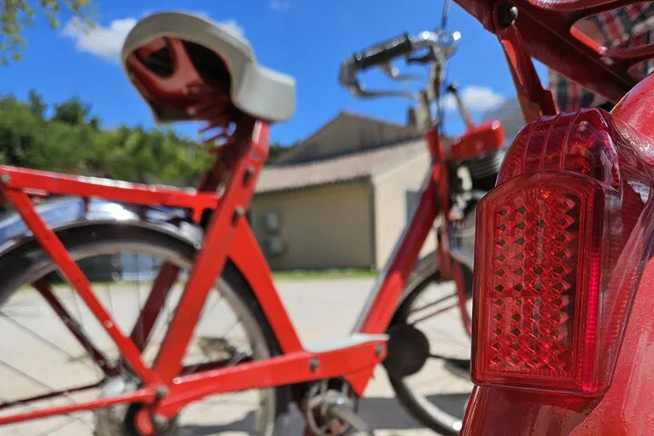 Solex Ride & Wine: Provence Vineyard Tour & Tasting