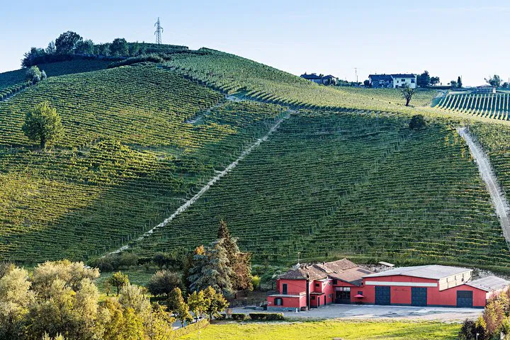 Unveiling Barbera: A Piedmont Wine Tasting Journey