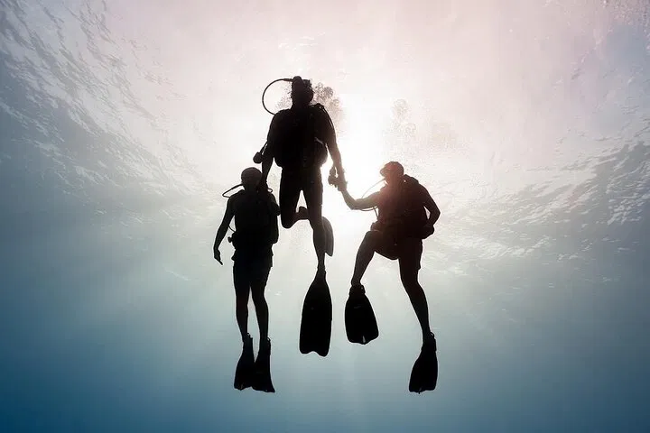 Private Scuba Dive Intro: Beginner-Friendly & Safe!