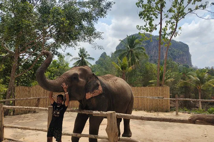 Krabi Elephant Bathing: A Fun Ao Nang Experience