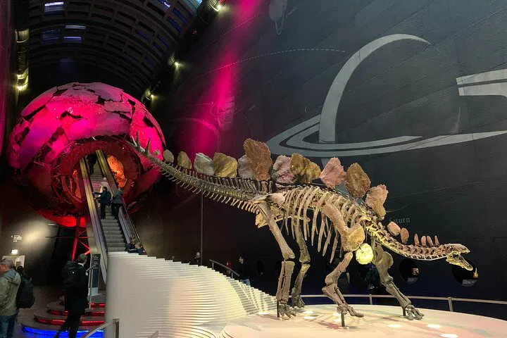 Uncover Natural History Museum's Secrets: A Private, Skip-the-Line Adventure