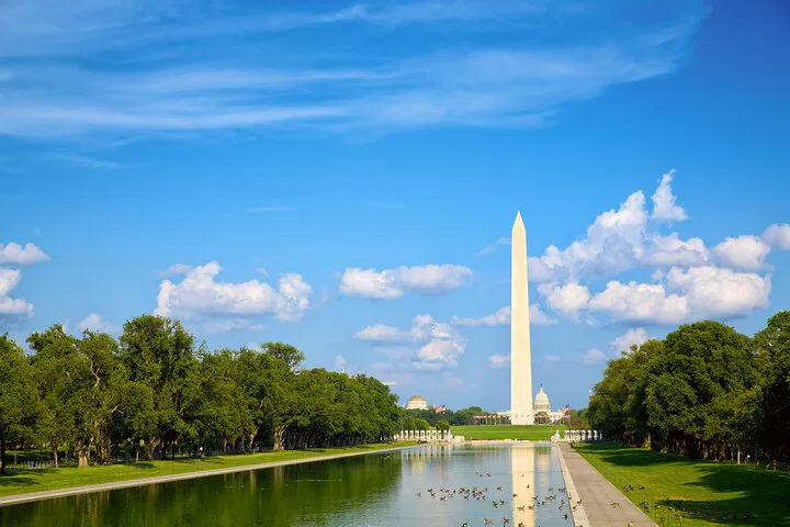 Uncover DC's Secrets: National Mall Democracy Quest Awaits!
