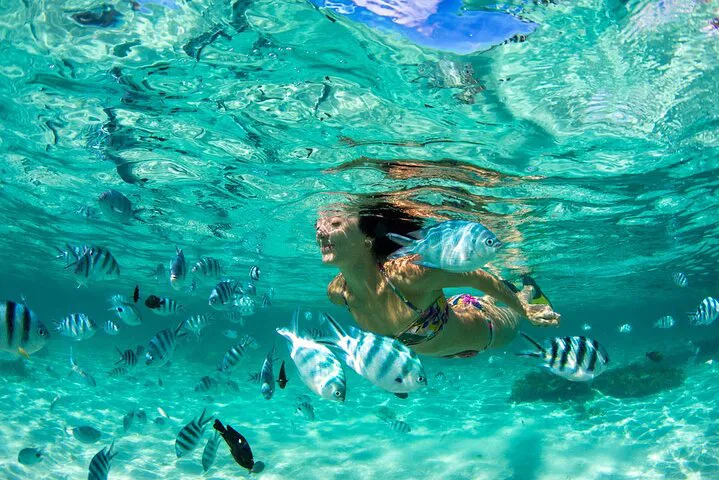 Phuket's Coral Island Adventure: Snorkel, Swim & Explore in Paradise!