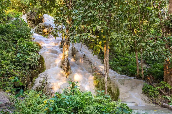 Conquer Chiang Mai's Sticky Waterfalls: A Thrilling Half-Day Adventure