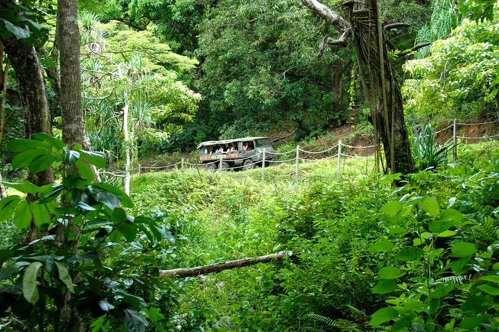 Oahu Jungle Adventure: Kualoa Ranch Off-Road Tour