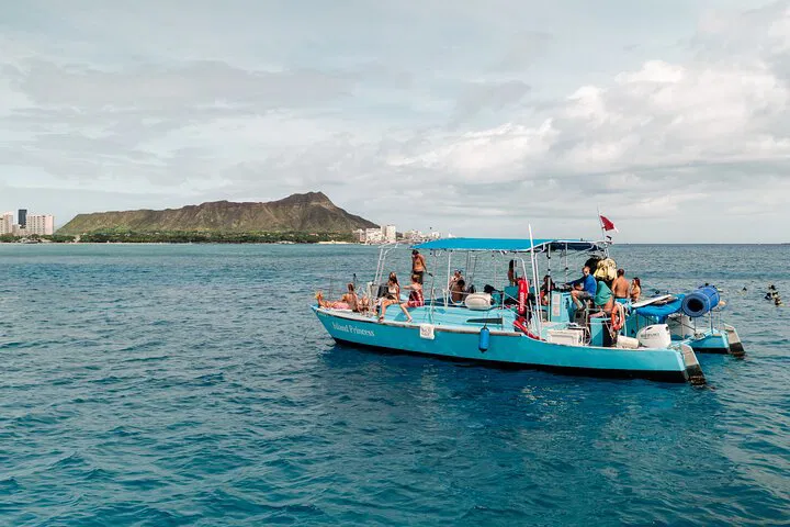 Waikiki Turtle Encounter: Snorkeling Adventure in Paradise