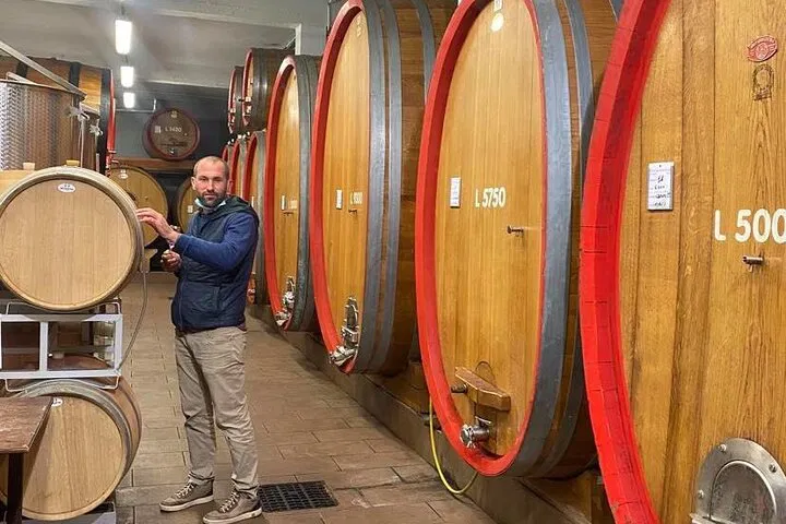 Uncover Asti's Terroir: Wine Tour with a Local Winemaker